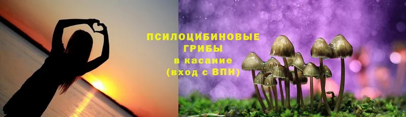 как найти закладки  Кологрив  Галлюциногенные грибы Cubensis 